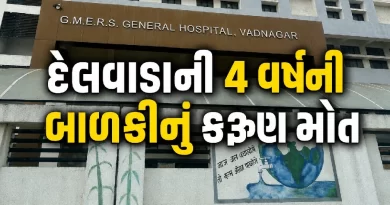Mehsana Chandipura Virus