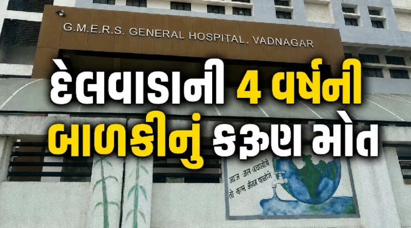 Mehsana Chandipura Virus