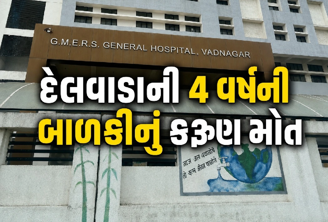 ચાંદીપુરા વાયરસથી મહેસાણામાં પ્રથમ મોત