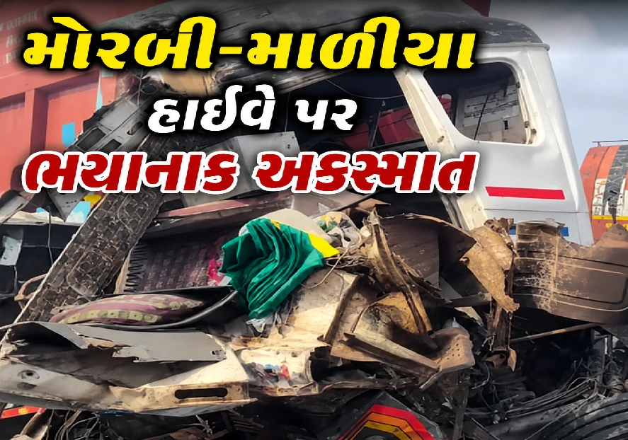 ભીષણ ટક્કર બાદ આગનો ગોળો બન્યાં બે ભારે વાહનો