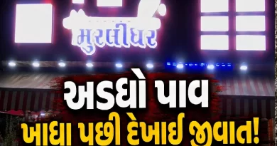 Murlidhar Bhajipau Ghodasar Pest found in pav