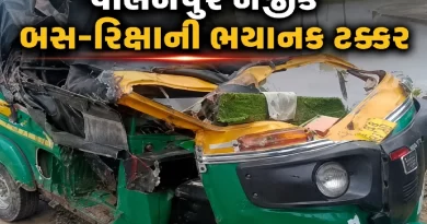 Palanpur Bus Rickshaw Accident