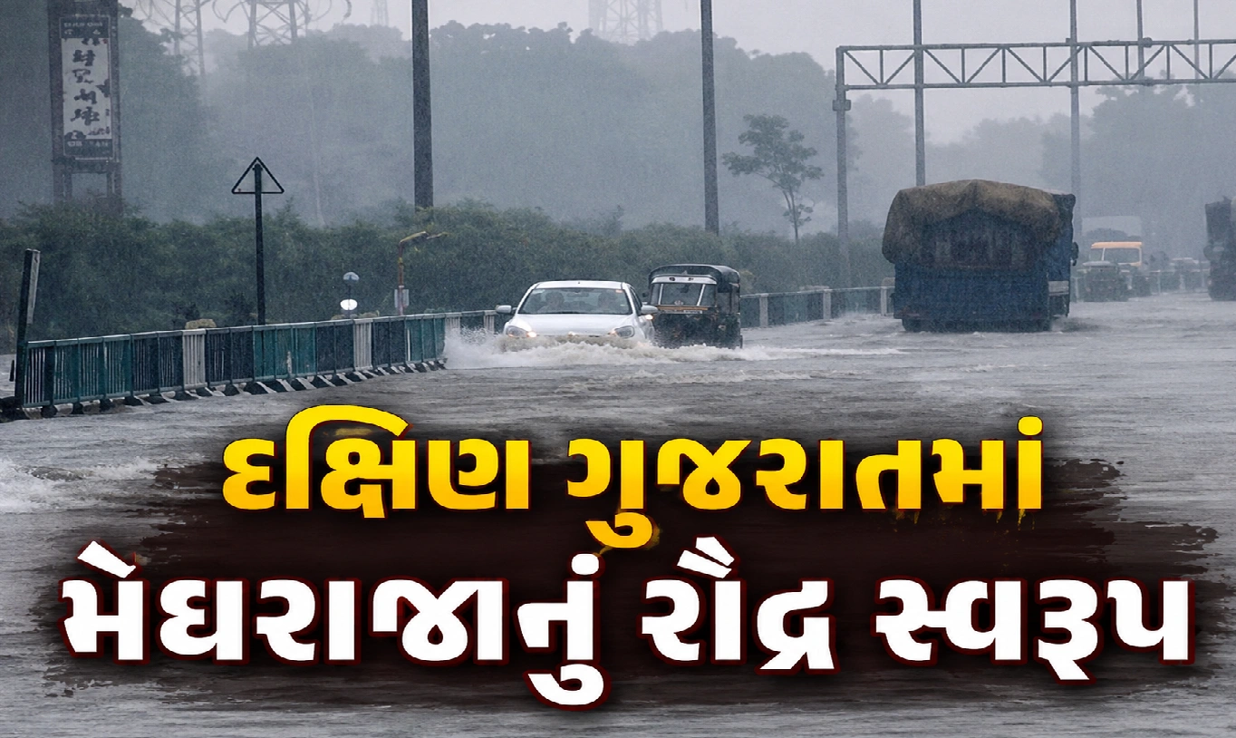દક્ષિણ ગુજરાતમાં પૂર જેવી સ્થિતિ