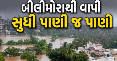 South Gujarat flood news