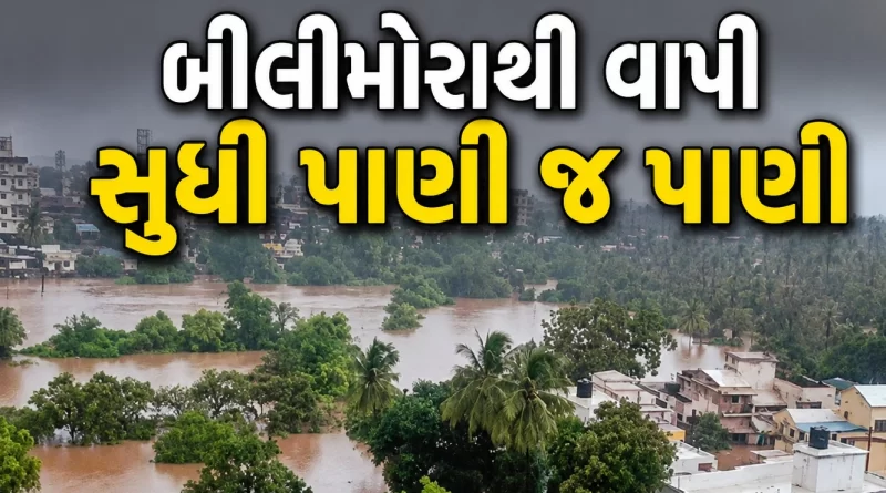 South Gujarat flood news