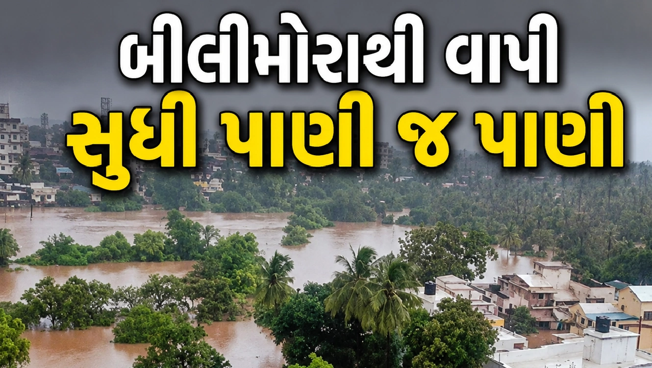 દક્ષિણ ગુજરાતમાં પૂર જેવી સ્થિતિ