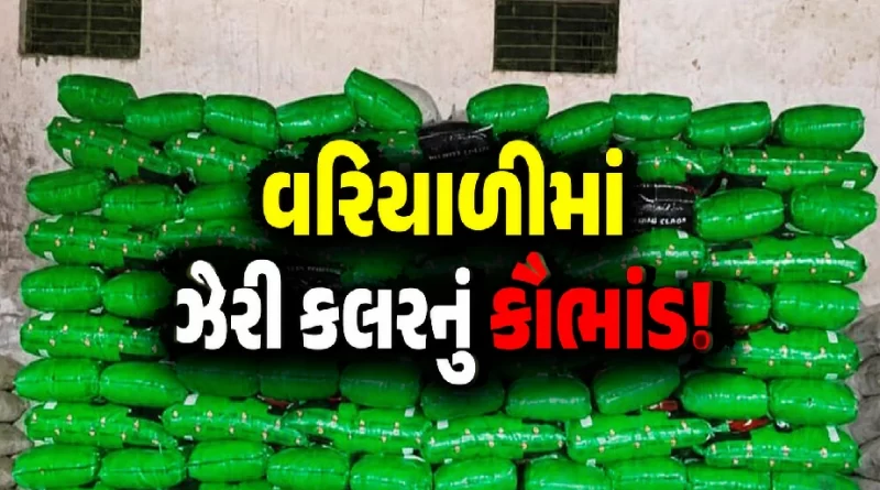 Unjha Fennel Seeds Raid