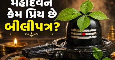Bili Patra Importance