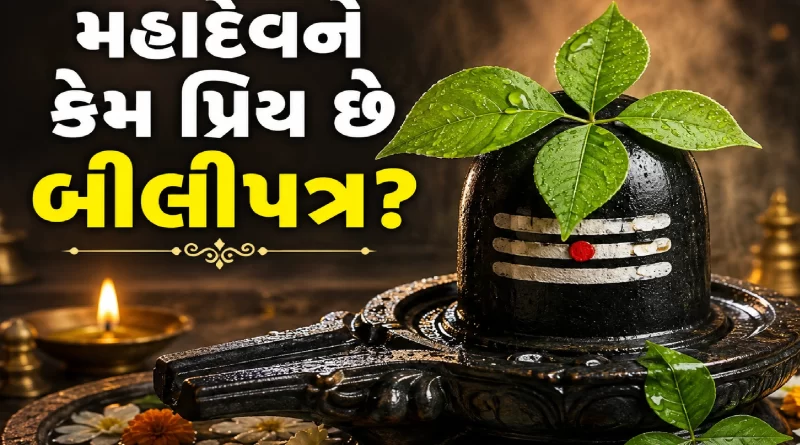 Bili Patra Importance