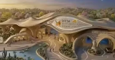 Deesa Night Safari
