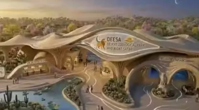 Deesa Night Safari