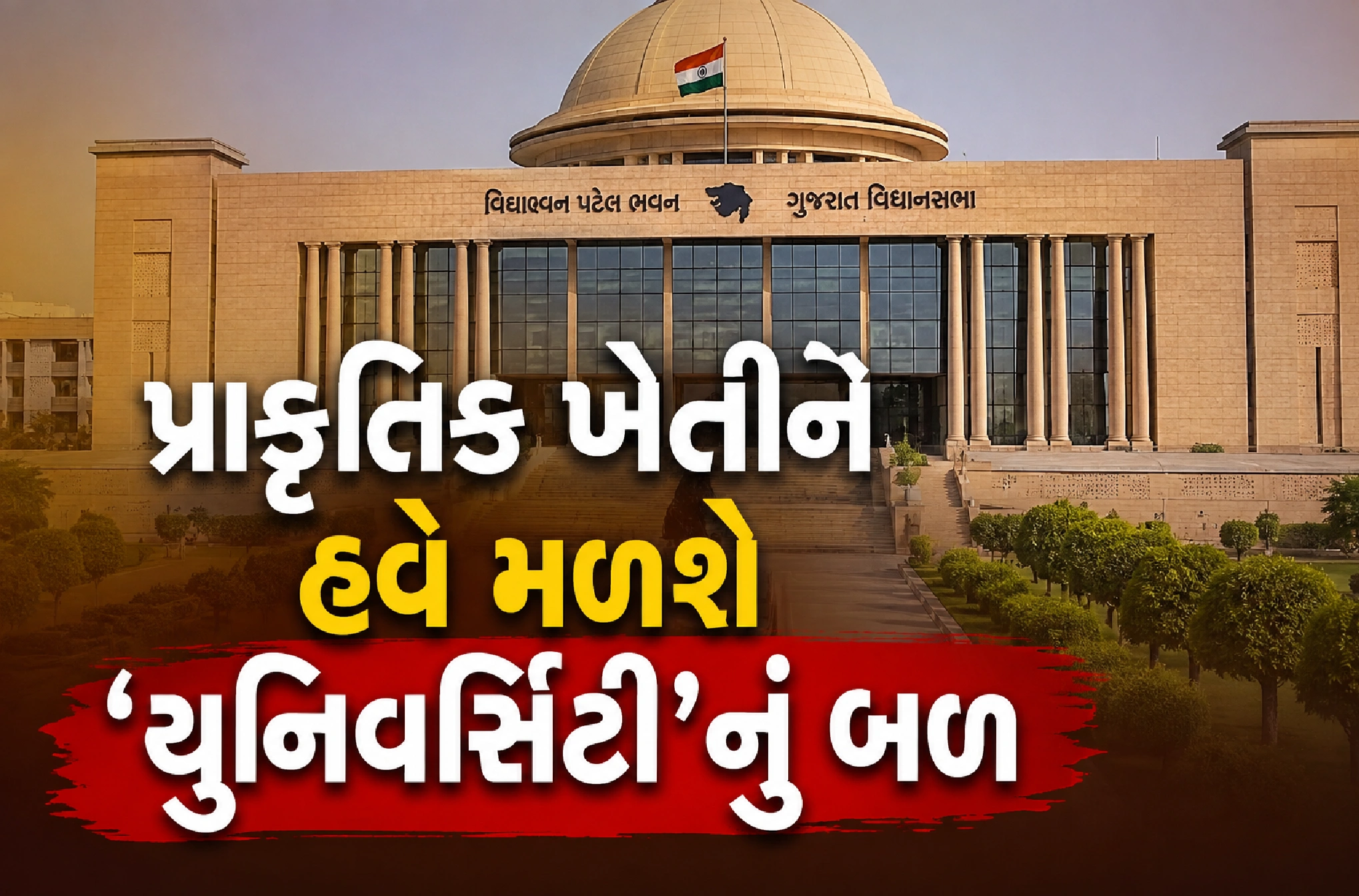 યુનિવર્સિટીમાં કોર્સથી સંશોધન સુધીનો વ્યાપ