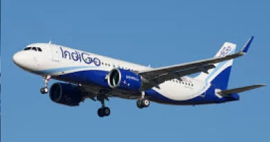 IndiGo flight