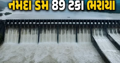 Narmada Dam Water Level