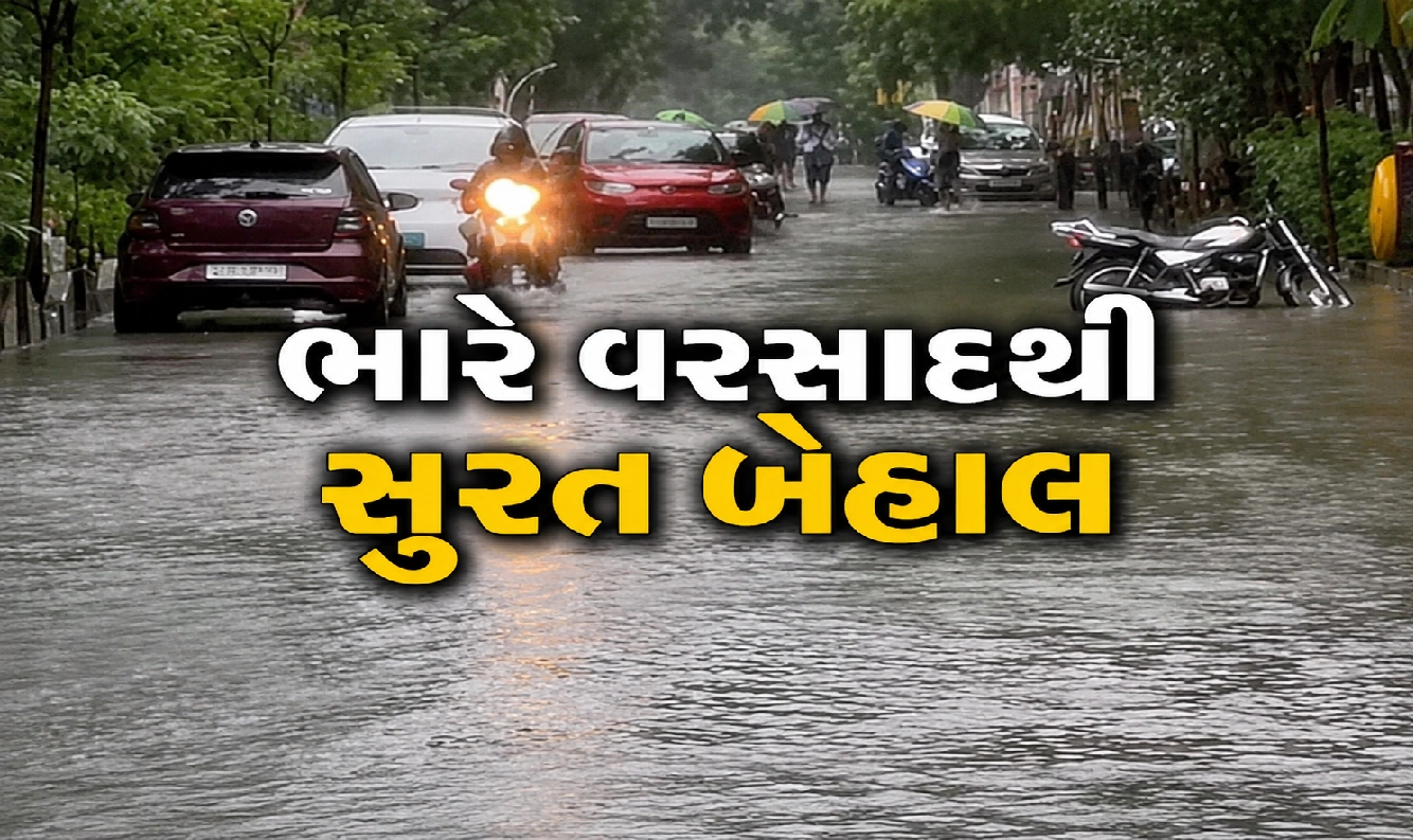 મેઘરાજાનું રૌદ્ર સ્વરૂપ