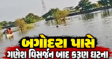 Bagodara Ahemdabad Drowning Incident