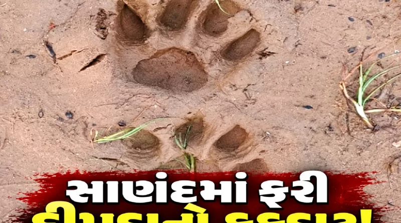 Sanand Leopard News