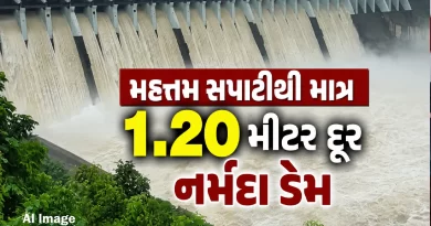 Sardar Sarovar Narmada Dam Water Level