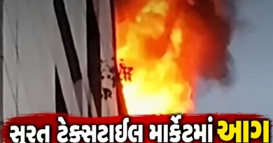 Shyam Sangini Textile Market Fire Surat
