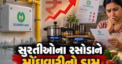 Surat PNG gas price today