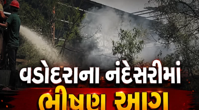 Vadodara Nandesari fire