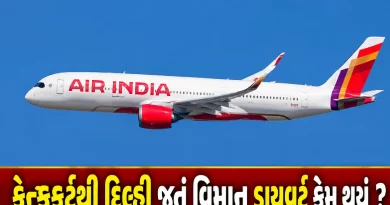 Air India flight diverted to Jaipur