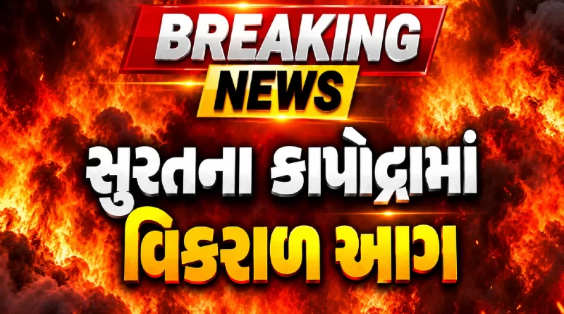 Laxmi Narayan Industries Kapodra Surat fire