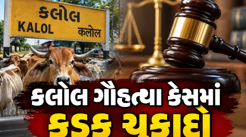 kalol-cow-slaughter-case-life-imprisonment